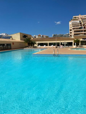 FÉRIAS PRAIA DA ROCHA - PORTIMÃO Apartamento T1